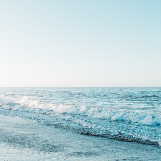 菅田将暉のプロフィールと出演作品まとめ｜演技の特徴と人気の理由を解説