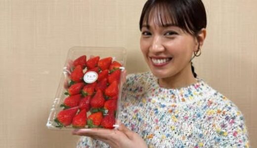浅尾美和の旦那の職業は？美容師で院経営？名前や年齢・馴れ初めまとめ