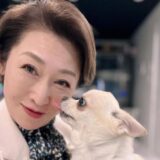 三原じゅん子の旦那の職業は？元公設秘書の経歴や現在の仕事を徹底解説