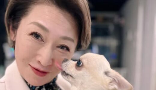 三原じゅん子の旦那の職業は？元公設秘書の経歴や現在の仕事を徹底解説