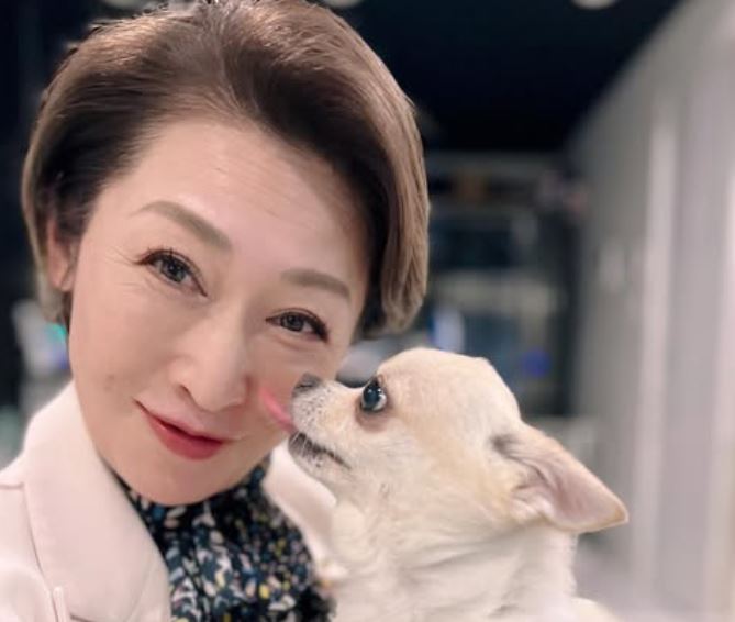 三原じゅん子の旦那の職業は？元公設秘書の経歴や現在の仕事を徹底解説