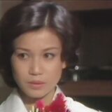 夏純子は現在どうしてる？夫や子供・引退後の生活まとめ