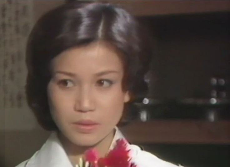 夏純子は現在どうしてる？夫や子供・引退後の生活まとめ