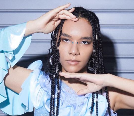 女王蜂アヴちゃんの卒アル写真は？出身高校や本名を徹底解説