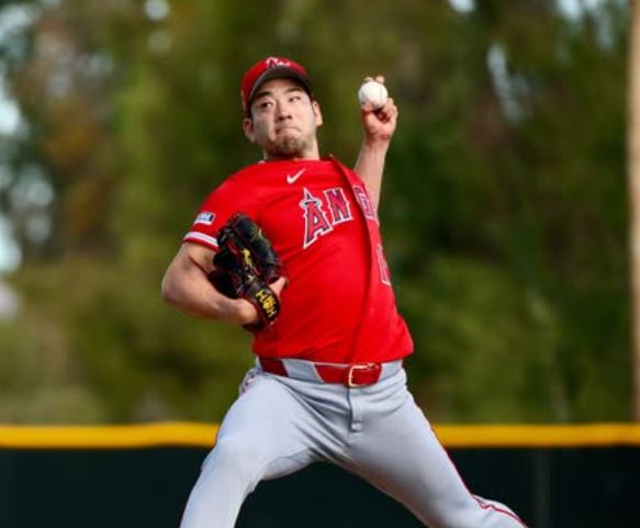 菊池雄星の兄は医者？整形外科医説の真相と職業・名前を徹底検証