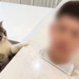 【画像】もちまる日記の飼い主が顔バレ？素顔と本名の真相を調査