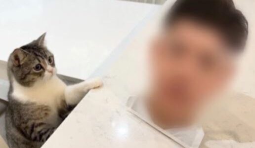 【画像】もちまる日記の飼い主が顔バレ？素顔と本名の真相を調査