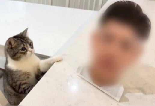 【画像】もちまる日記の飼い主が顔バレ？素顔と本名の真相を調査