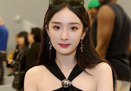 ヤンミーの再婚相手は誰？シューカイとの噂と現在の真相を徹底解説！