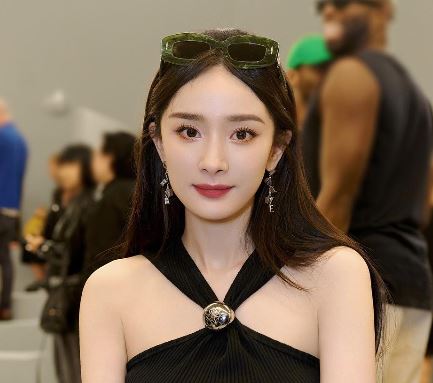 ヤンミーの再婚相手は誰？シューカイとの噂と現在の真相を徹底解説！