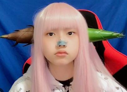 ヘライザー総統の素顔が美人すぎ？すっぴん画像と顔バレの真実