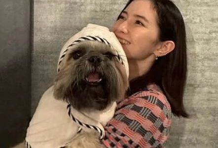 市川紗椰は結婚してる？夫の噂と野島卓アナとの関係まとめ