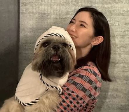 市川紗椰は結婚してる？夫の噂と野島卓アナとの関係まとめ
